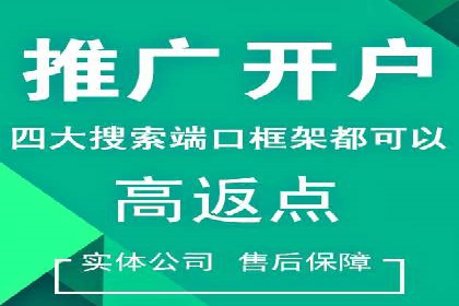 某行业信息流广告投放效果分析报告