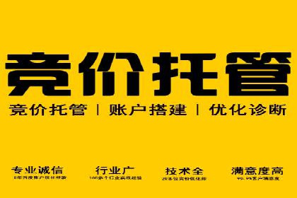 专业SEM托管，案例分享助力企业实现高效转化